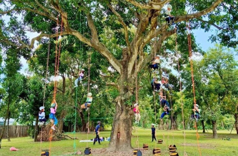 無塑環保貫始終 漁光點點市集串聯社區與學校推永續