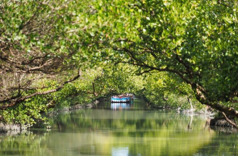 新年慢遊首選！臺南文化局推「古蹟4選2」套票 整合史博館與綠色隧道多重優惠